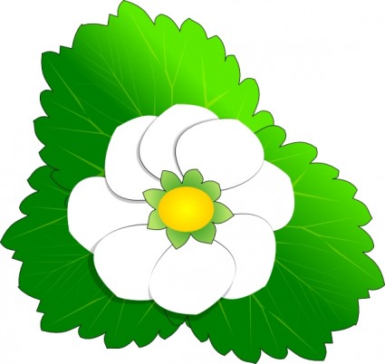 White flower clip art Free vector for free download (about 144 files).