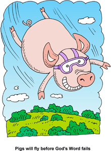 Flying Pig - Pigs will fly before Gods Word fails - Christart.