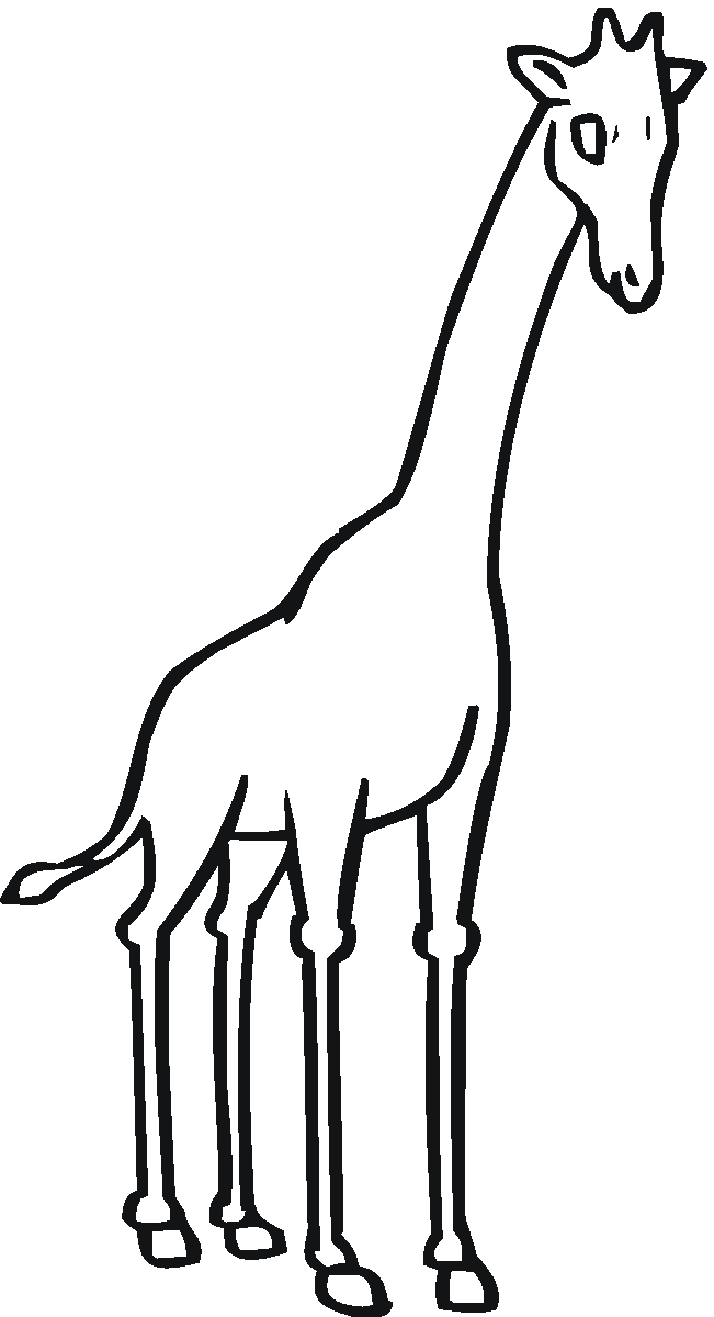 giraffe without spots Colouring Pages