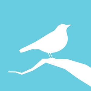 Animated Birds Free - Android Apps on Google Play