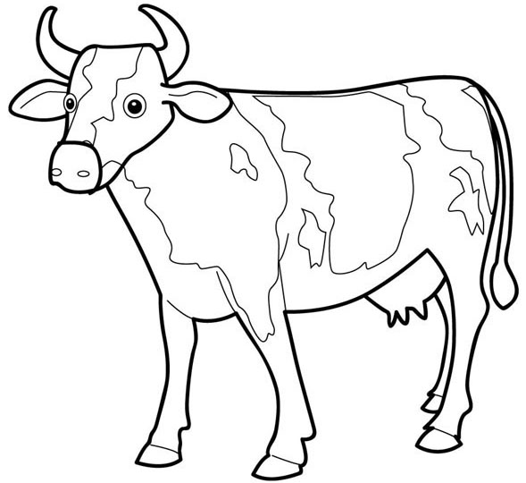 Cow Drawing For Kids