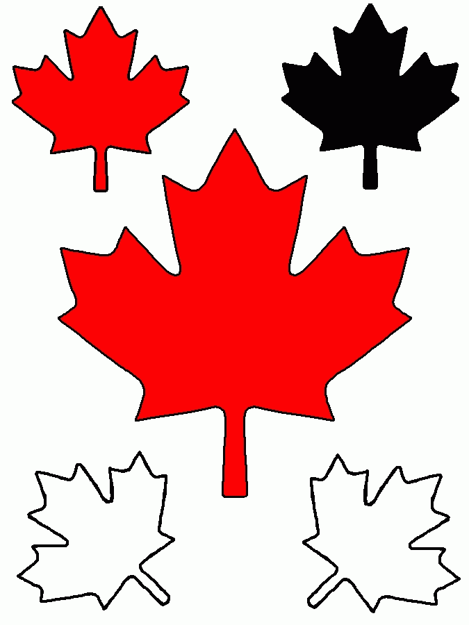 Maple leaf clipart outline