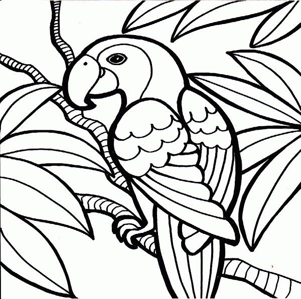 Cool Coloring Pages For Adults | Coloring Pages