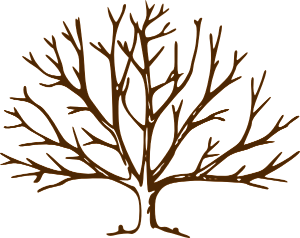 Gallery For > Simple Bare Tree Drawing
