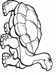 Animal coloring pages, Search and Google