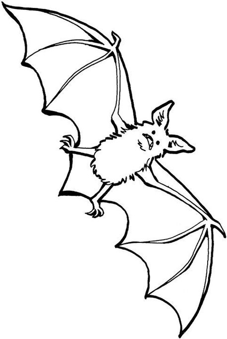 Bat Line Drawing Clipart - Free to use Clip Art Resource