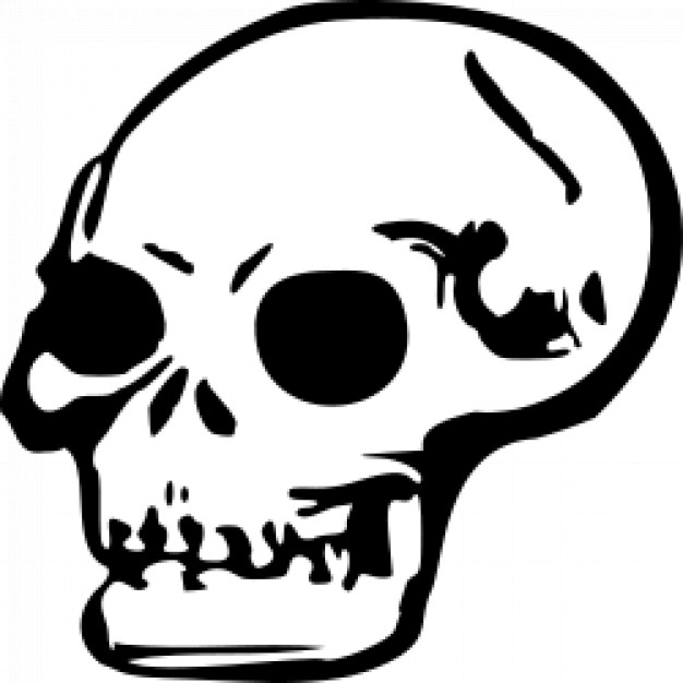 Skull clip art illustration vector Vector | Free Download