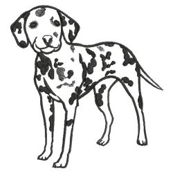 Embroidery Designs - Dog Outlines 01(