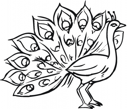 Peacocks coloring pages | Super Coloring