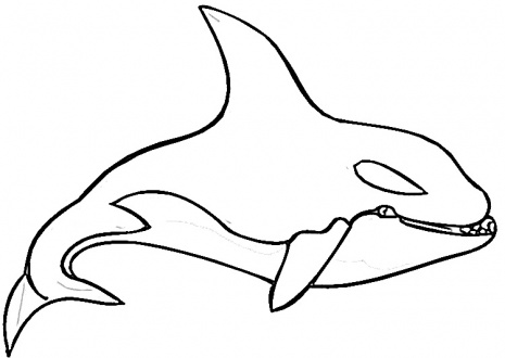 Killer Whale coloring page | Super Coloring