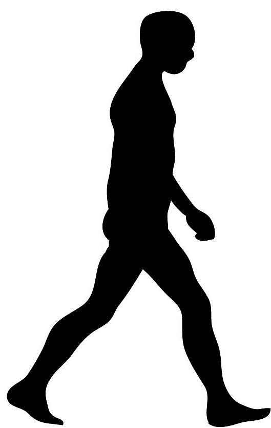 Walking Person Silhouette - ClipArt Best