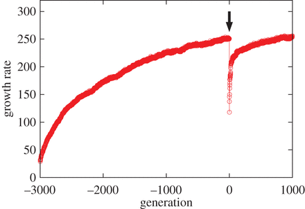 Global relationships in fluctuation and response in adaptive ...