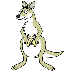 Cartoon Kangaroo Drawing Lesson