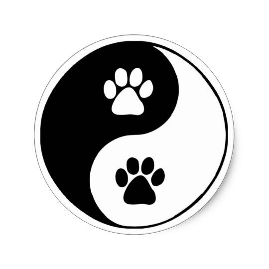 Yin Yang Gifts on Zazzle