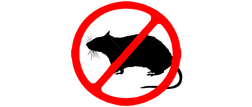 Keep a Rat-free Ship! - Alaska Maritime - U.S. Fish and Wildlife ...