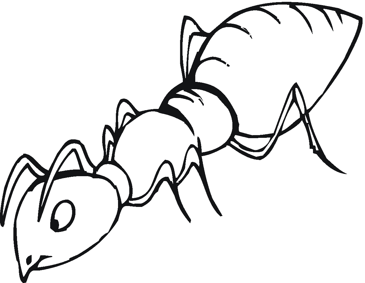 1000 images about ant coloring pages on pinterest coloring ants ...