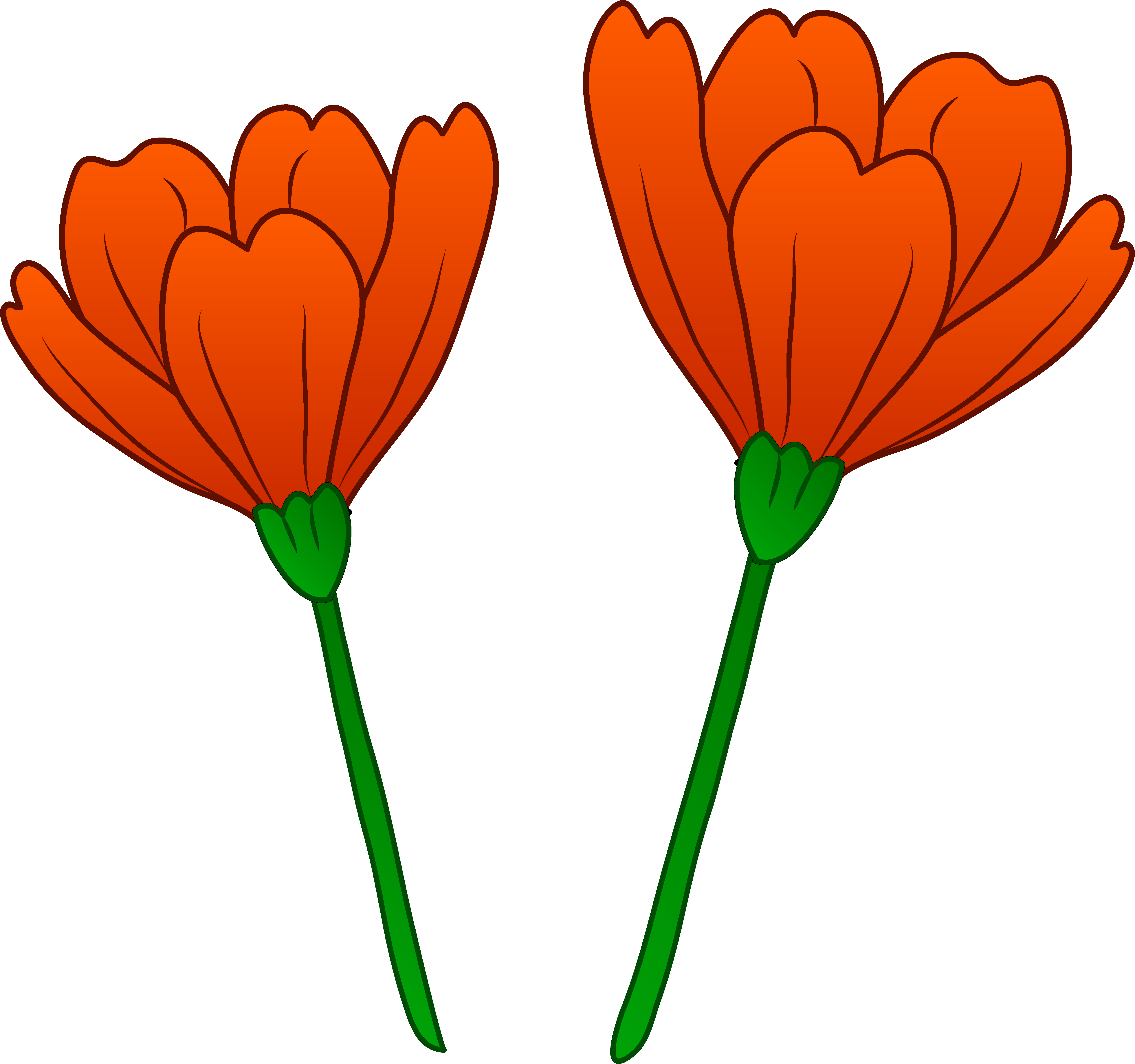 Poppy Flower Clip Art – Clipart Free Download