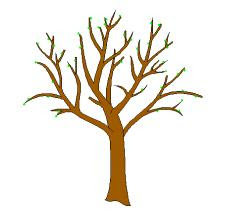 Brown Tree Trunk Clipart