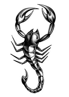 Scorpio Drawing - ClipArt Best