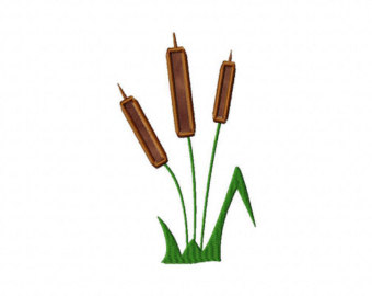 Image of Cattails Clipart #6046, Cattails Clipart - Clipartoons