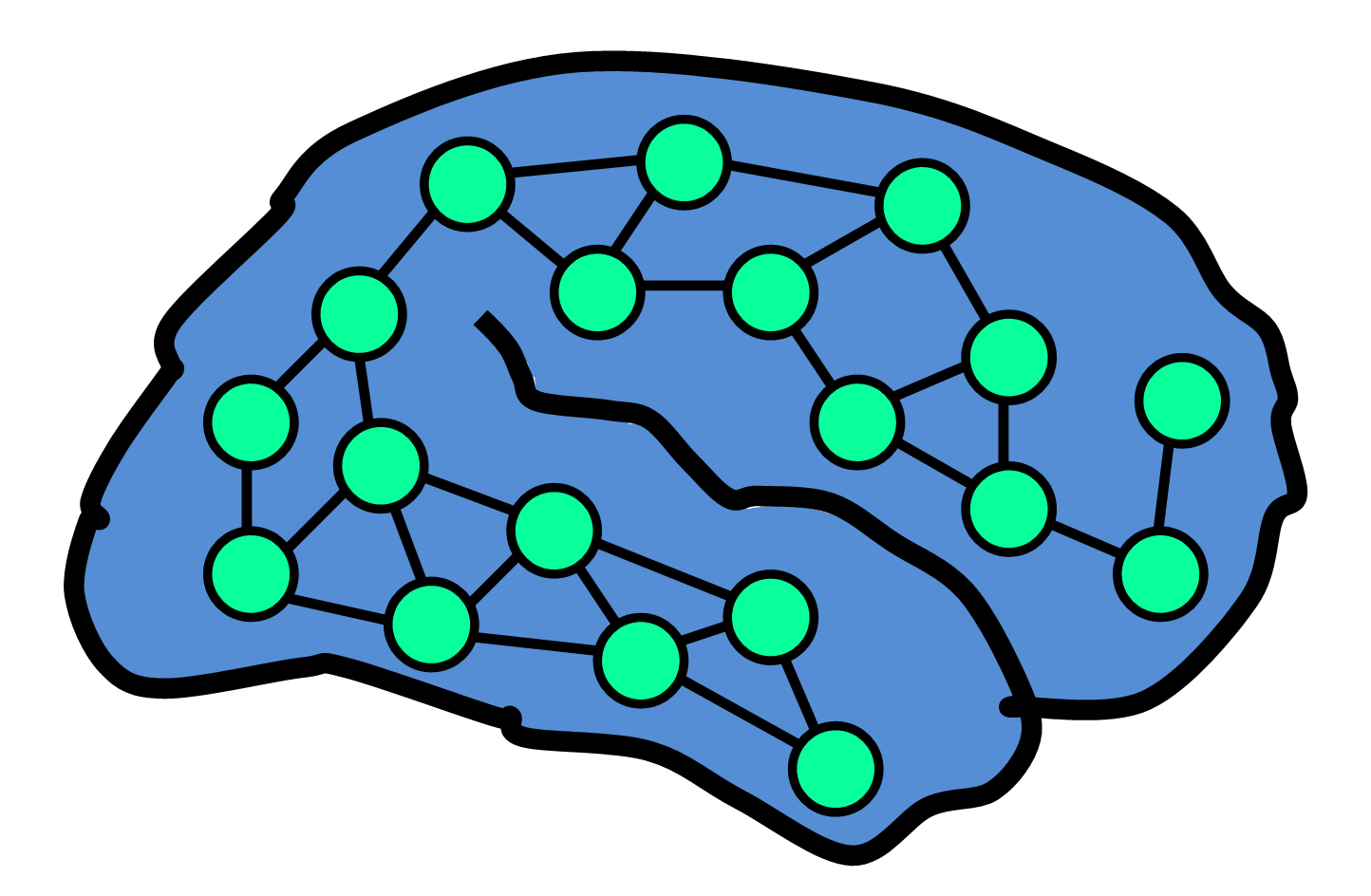 Functional Role | Neurogenesis