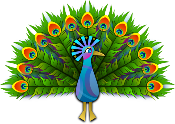Peacock Art Clipart - Free to use Clip Art Resource