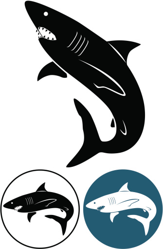Basking Shark Clip Art, Vector Images & Illustrations
