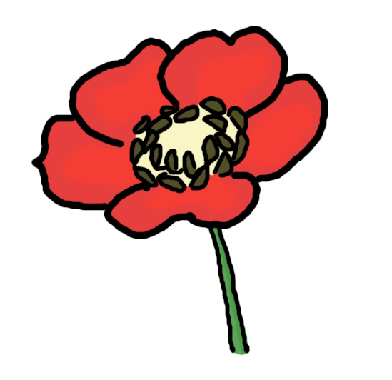 Drawings Poppies Clipart Bestart4search.com | art4search.com