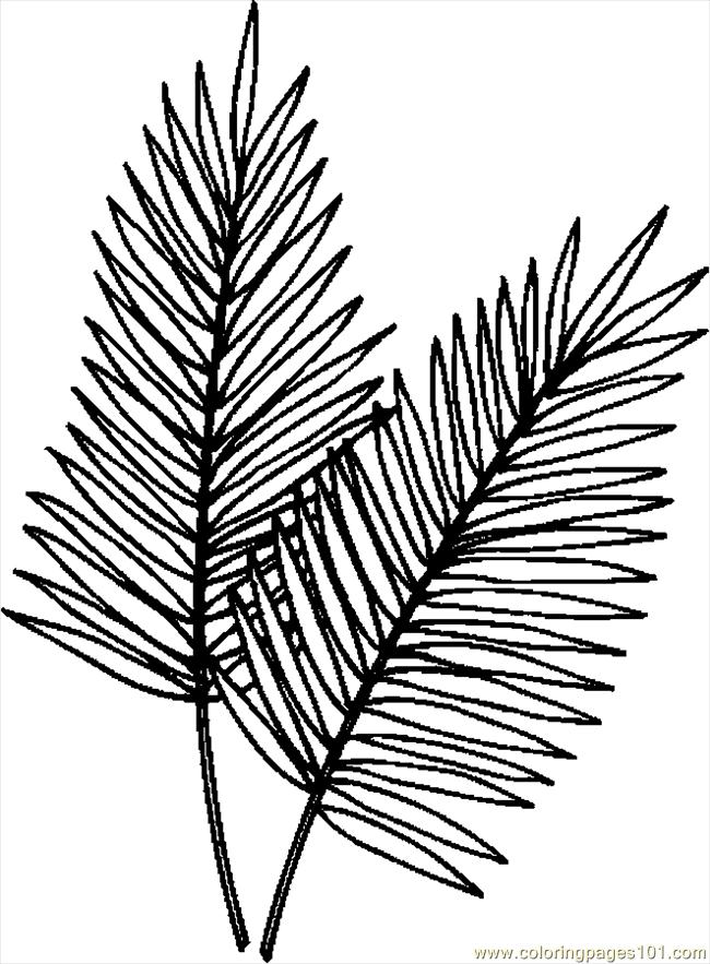 Palm Tree Leaves Template #718 - ClipArt Best - ClipArt Best
