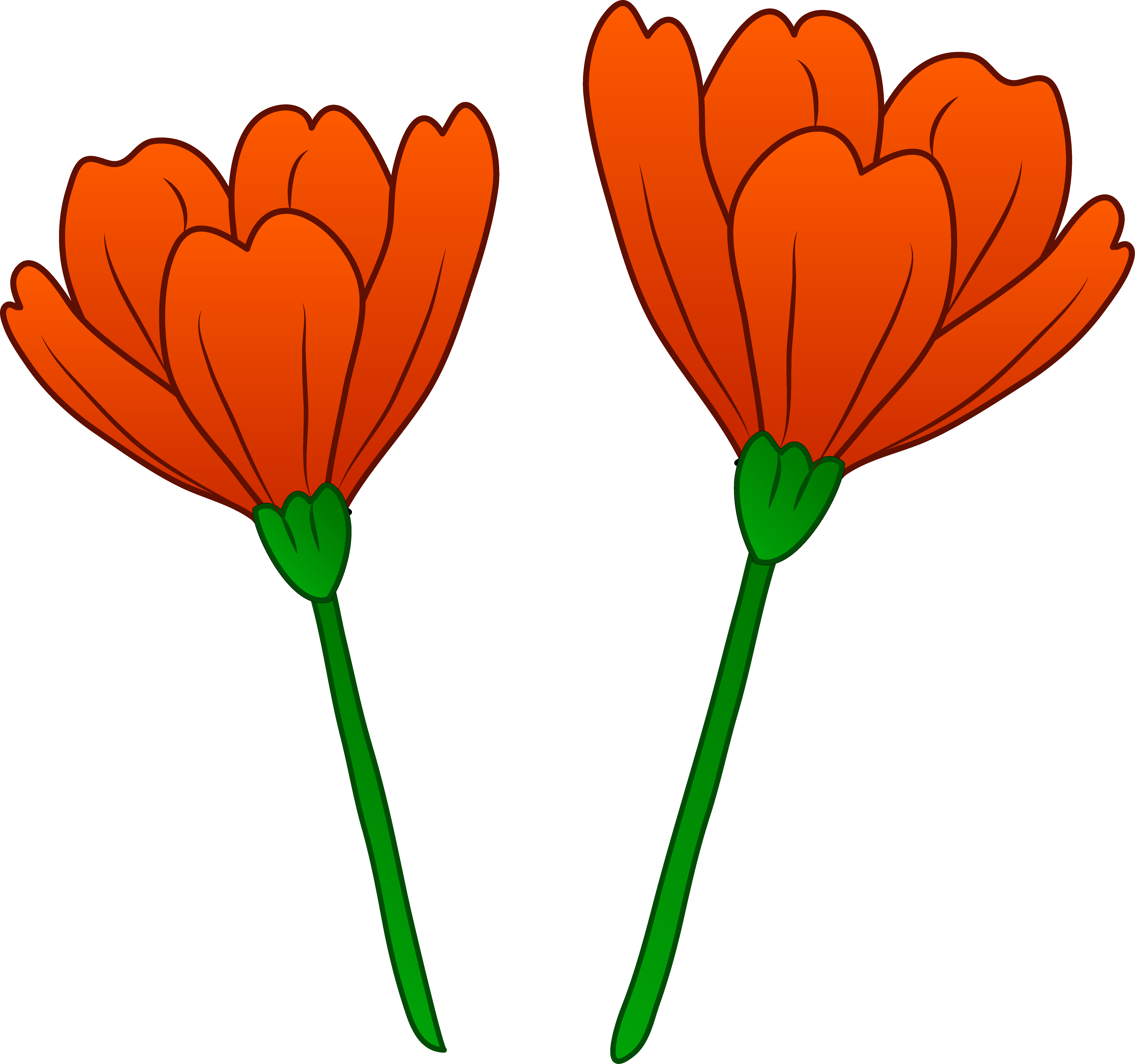 Clip art poppy flower