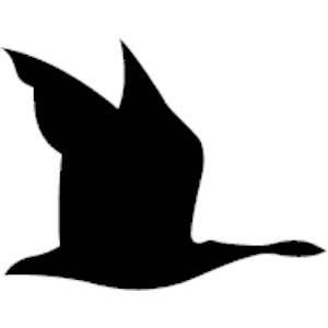 Loon Silhouette Clipart