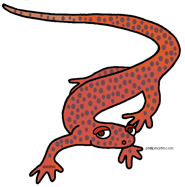 Salamander Clip Art