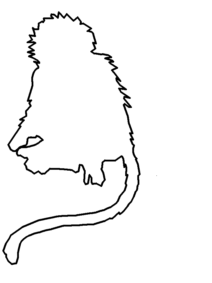 Monkey Outline Colouring Pages