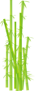 bamboo vector