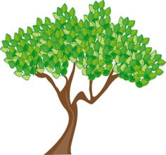 Benefits of Trees | Trees, The Heat and Money