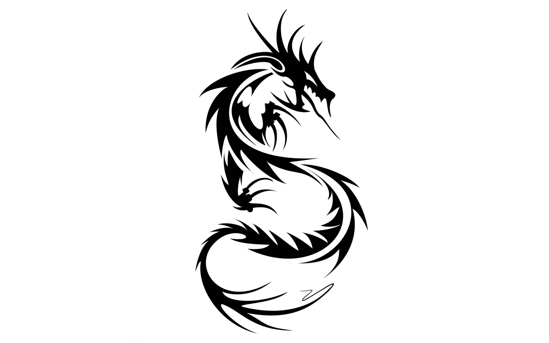 Dragon Tattoo Designs – Unique Style And Designs | Mastato