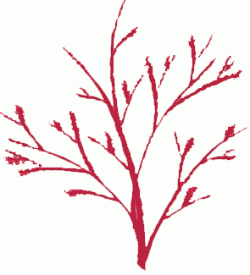 Clip Art Brown Tree Branches - Free Clipart Images