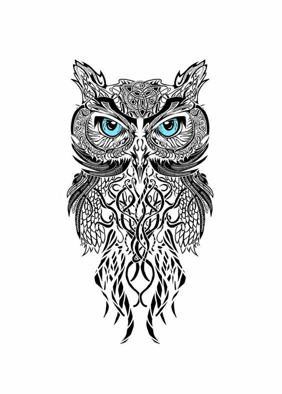 Drawings, Owl and Search