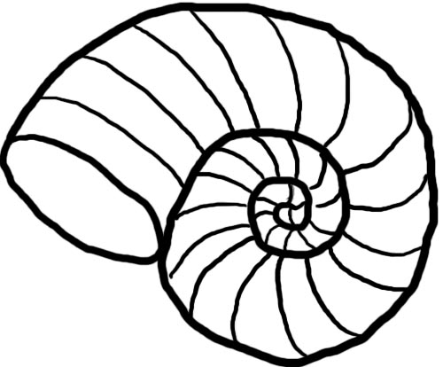 Seashell Clipart Black And White - Free Clipart Images