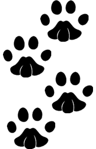 Lion Prints - ClipArt Best