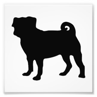 Dog Silhouette Photographic Prints, Dog Silhouette Photography Prints