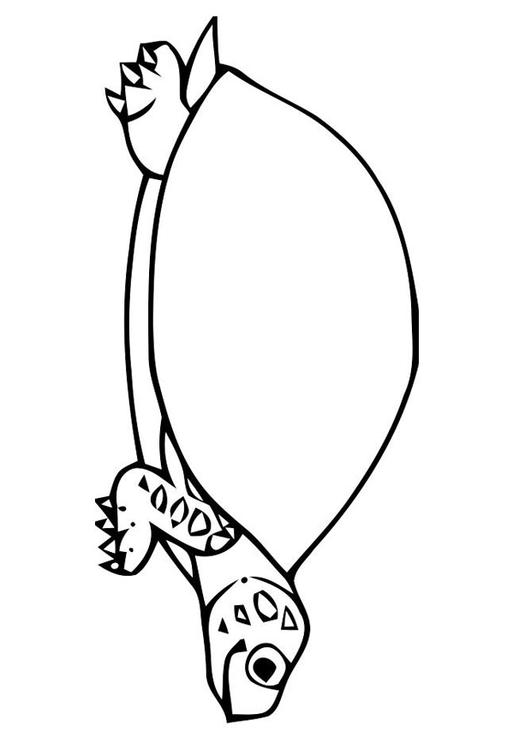 Coloring page tortoise - img 19636.