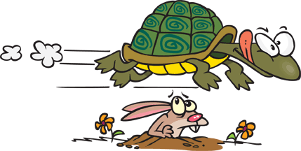 Flying With a Dog? Try a Tortoise | CertaPet