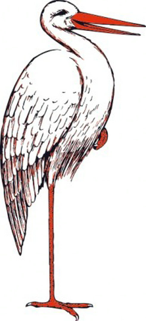 Stork Clip Art | Free Vector Download - Graphics,