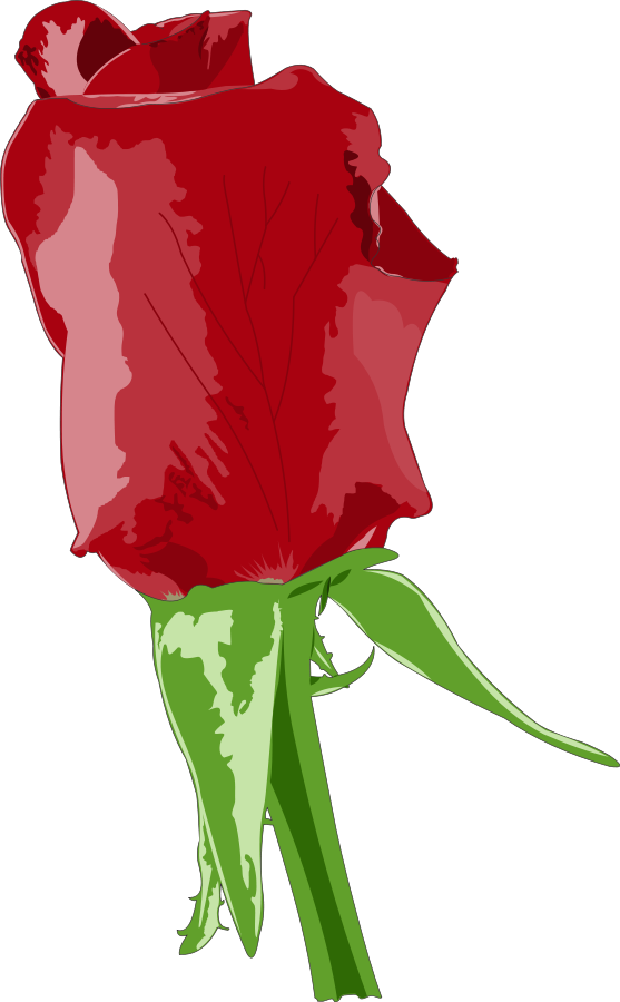 Vector Rose | Free Download Clip Art | Free Clip Art | on Clipart ...