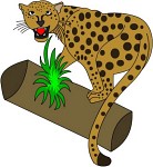 clipart-leopard-on-a-log.jpg