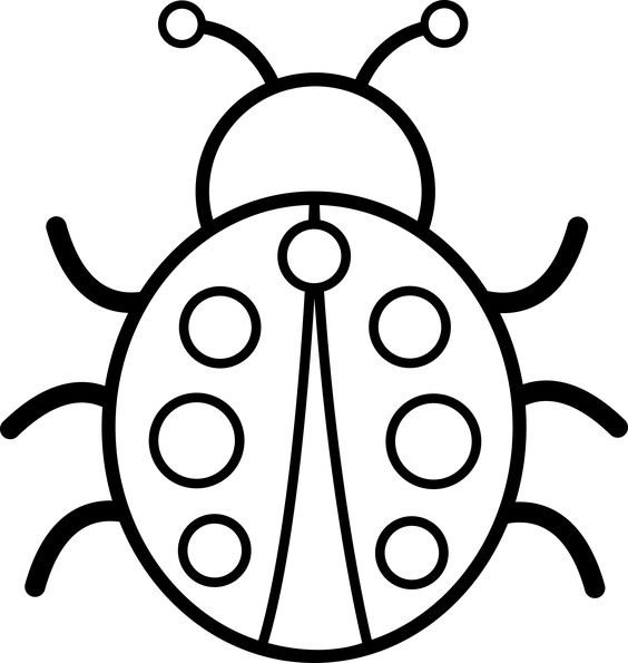 Lady bird clipart black and white