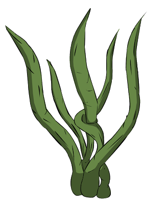 seaweed clipart | Hostted