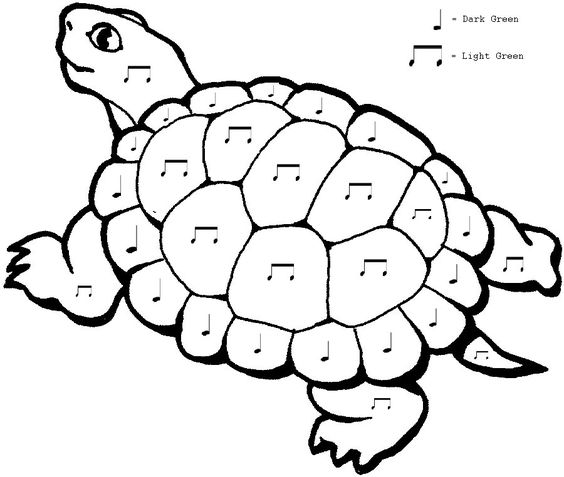 Coloring, One color and Turtles