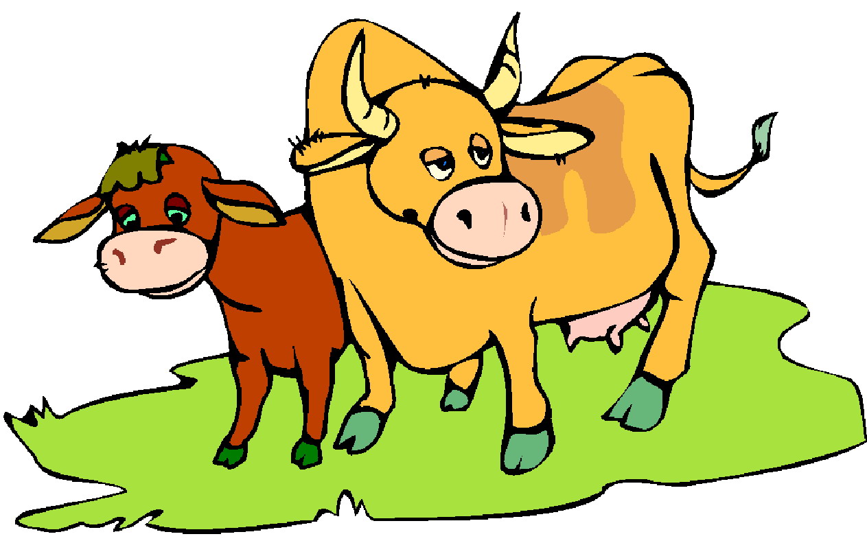 Clip Art - Clip art cows 758768